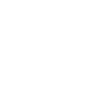 icons8 total sales 100